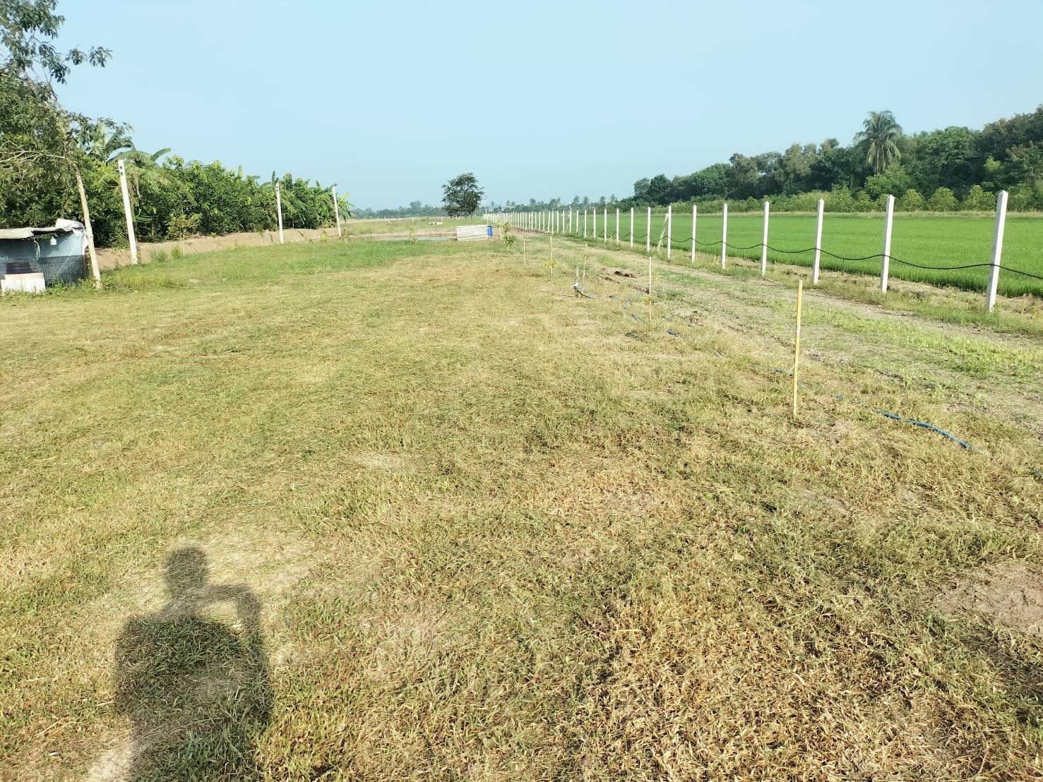 ขายที่ดินพร้อมสิ่งปลูกสร้าง โฉนด 2 ไร่ 3 งาน 31 ตรว. ต.ระแหง อ.ลาดหลุมแก้ว จ.ปทุมธานี 